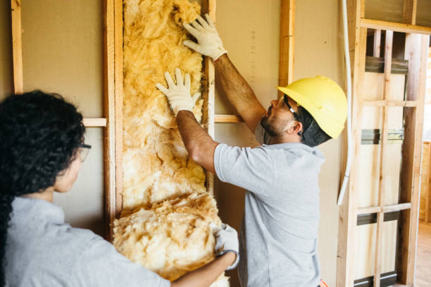 Insulation for Commercial Buildings in Mcchord Af, WA
